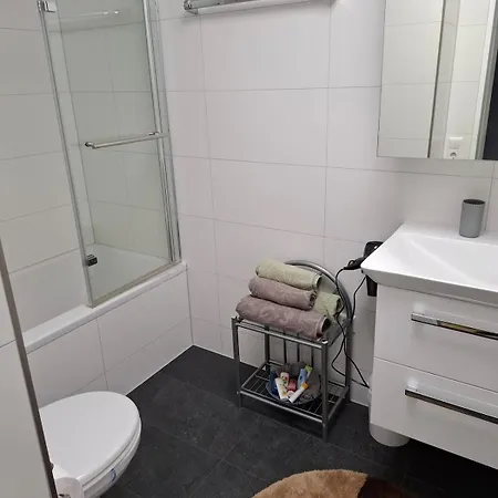 公寓 3 Am Wildpark 普福尔茨海姆